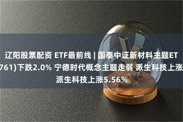 辽阳股票配资 ETF最前线 | 国泰中证新材料主题ETF(159761)下跌2.0% 宁德时代概念主题走弱 派生科技上涨5.56%