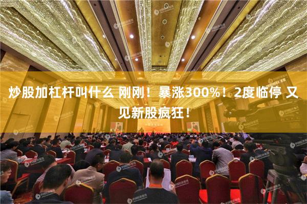 炒股加杠杆叫什么 刚刚！暴涨300%！2度临停 又见新股疯狂！