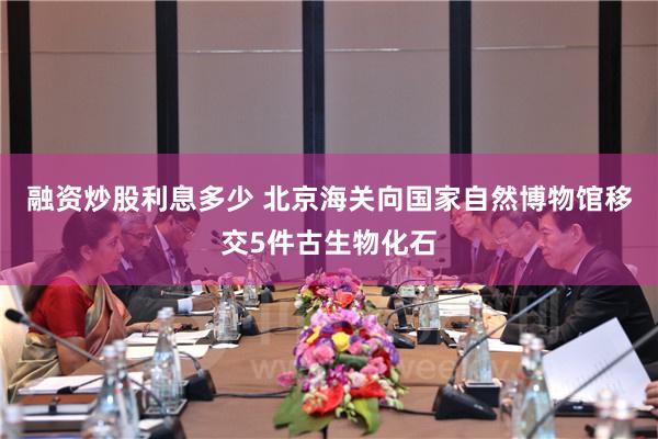 融资炒股利息多少 北京海关向国家自然博物馆移交5件古生物化石
