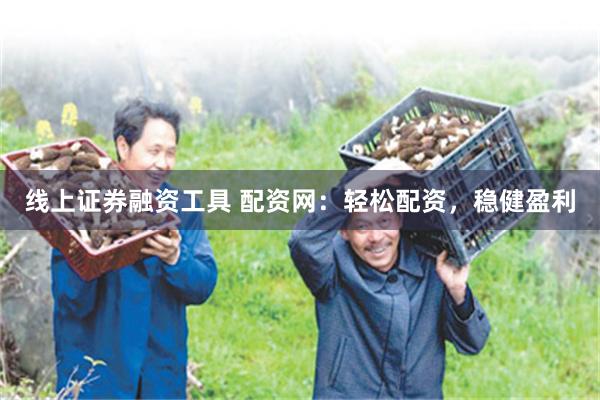 线上证券融资工具 配资网：轻松配资，稳健盈利