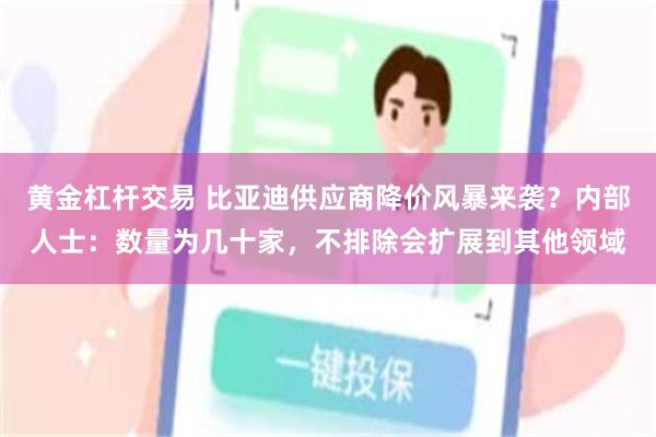 黄金杠杆交易 比亚迪供应商降价风暴来袭？内部人士：数量为几十家，不排除会扩展到其他领域