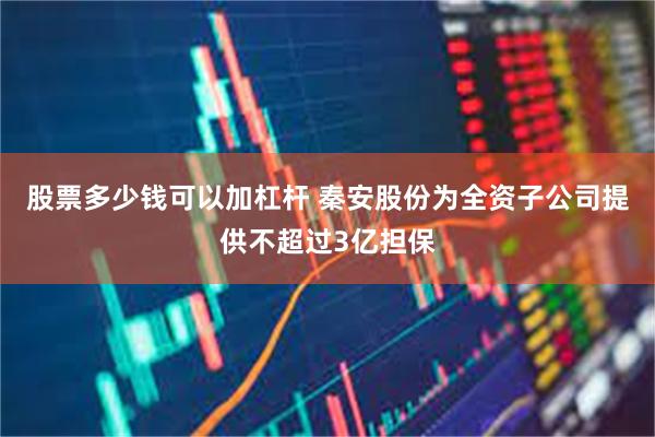 股票多少钱可以加杠杆 秦安股份为全资子公司提供不超过3亿担保