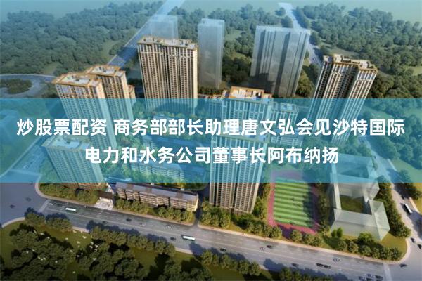 炒股票配资 商务部部长助理唐文弘会见沙特国际电力和水务公司董事长阿布纳扬