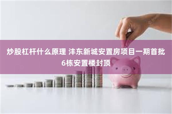 炒股杠杆什么原理 沣东新城安置房项目一期首批6栋安置楼封顶