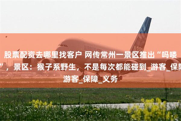 股票配资去哪里找客户 网传常州一景区推出“吗喽下午茶”，景区：猴子系野生，不是每次都能碰到_游客_保障_义务