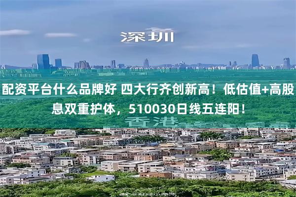 配资平台什么品牌好 四大行齐创新高！低估值+高股息双重护体，510030日线五连阳！