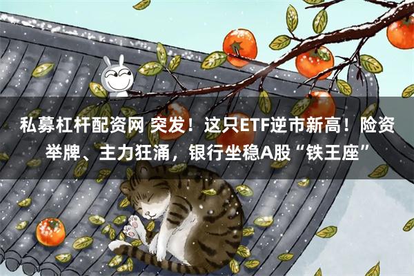 私募杠杆配资网 突发！这只ETF逆市新高！险资举牌、主力狂涌，银行坐稳A股“铁王座”