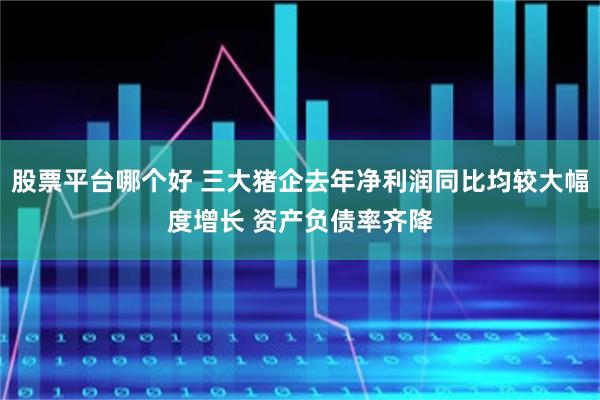 股票平台哪个好 三大猪企去年净利润同比均较大幅度增长 资产负债率齐降