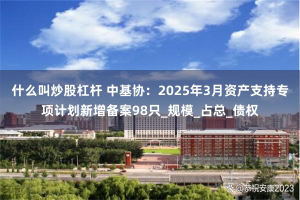 什么叫炒股杠杆 中基协：2025年3月资产支持专项计划新增备案98只_规模_占总_债权