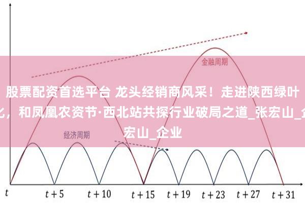 股票配资首选平台 龙头经销商风采！走进陕西绿叶农化，和凤凰农资节·西北站共探行业破局之道_张宏山_企业