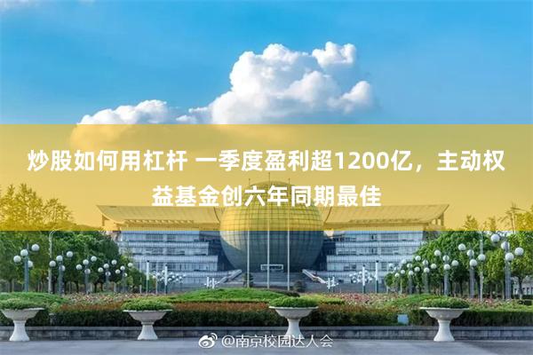 炒股如何用杠杆 一季度盈利超1200亿，主动权益基金创六年同期最佳