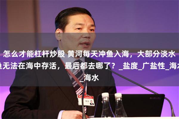 怎么才能杠杆炒股 黄河每天冲鱼入海，大部分淡水鱼无法在海中存活，最后都去哪了？_盐度_广盐性_海水