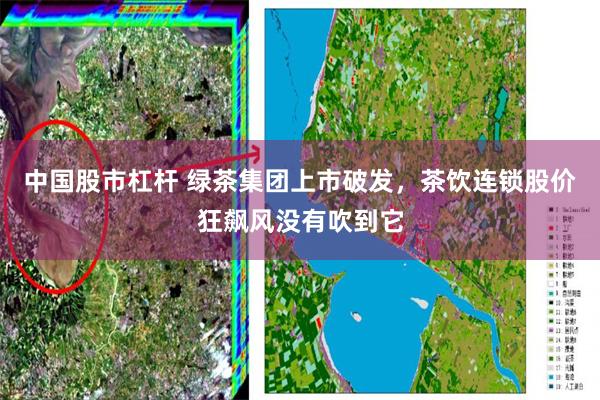 中国股市杠杆 绿茶集团上市破发，茶饮连锁股价狂飙风没有吹到它