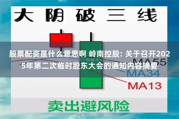 股票配资是什么意思啊 岭南控股: 关于召开2025年第二次临时股东大会的通知内容摘要