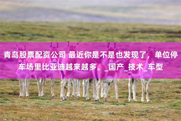 青岛股票配资公司 最近你是不是也发现了，单位停车场里比亚迪越来越多。_国产_技术_车型