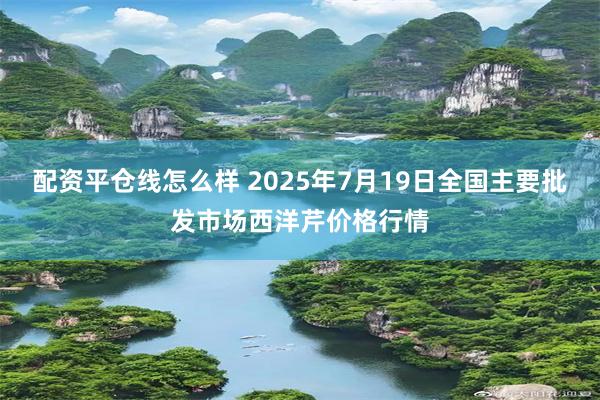 配资平仓线怎么样 2025年7月19日全国主要批发市场西洋芹价格行情