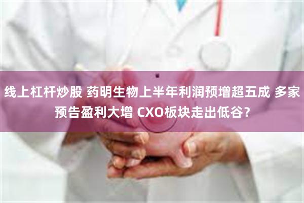 线上杠杆炒股 药明生物上半年利润预增超五成 多家预告盈利大增 CXO板块走出低谷？