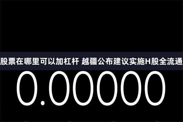 股票在哪里可以加杠杆 越疆公布建议实施H股全流通