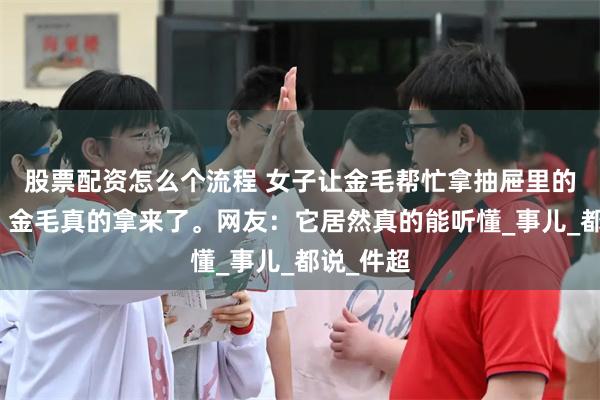 股票配资怎么个流程 女子让金毛帮忙拿抽屉里的充电器，金毛真的拿来了。网友：它居然真的能听懂_事儿_都说_件超