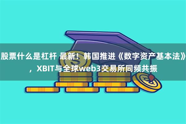 股票什么是杠杆 最新！韩国推进《数字资产基本法》，XBIT与全球web3交易所同频共振