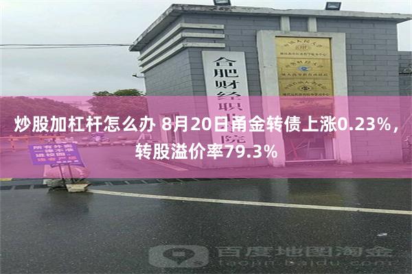 炒股加杠杆怎么办 8月20日甬金转债上涨0.23%，转股溢价率79.3%